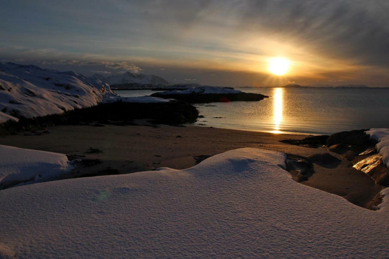 Superior Cottage With Sea View In Senja Senjehesten Extérieur photo